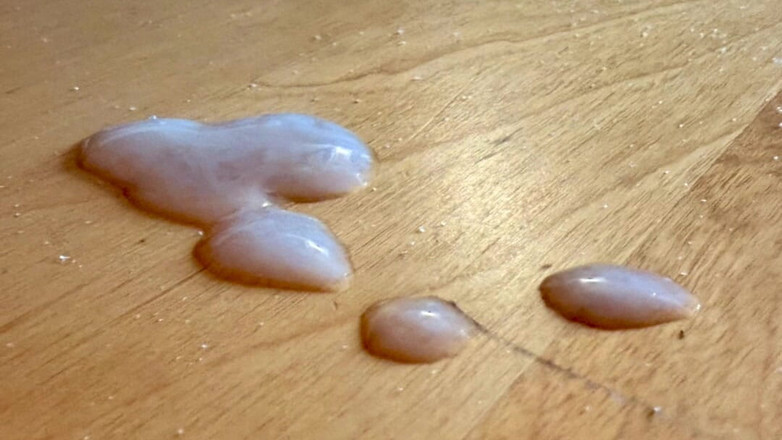 Truridge: 자지 슬라이드쇼 정액 촬영