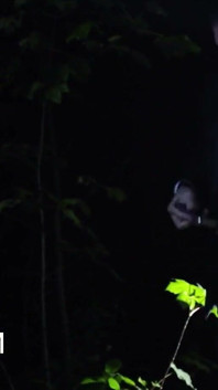 Night Shift ลับการสัมผัสของผู้ให้ข้อมูลโดยเฉพาะ