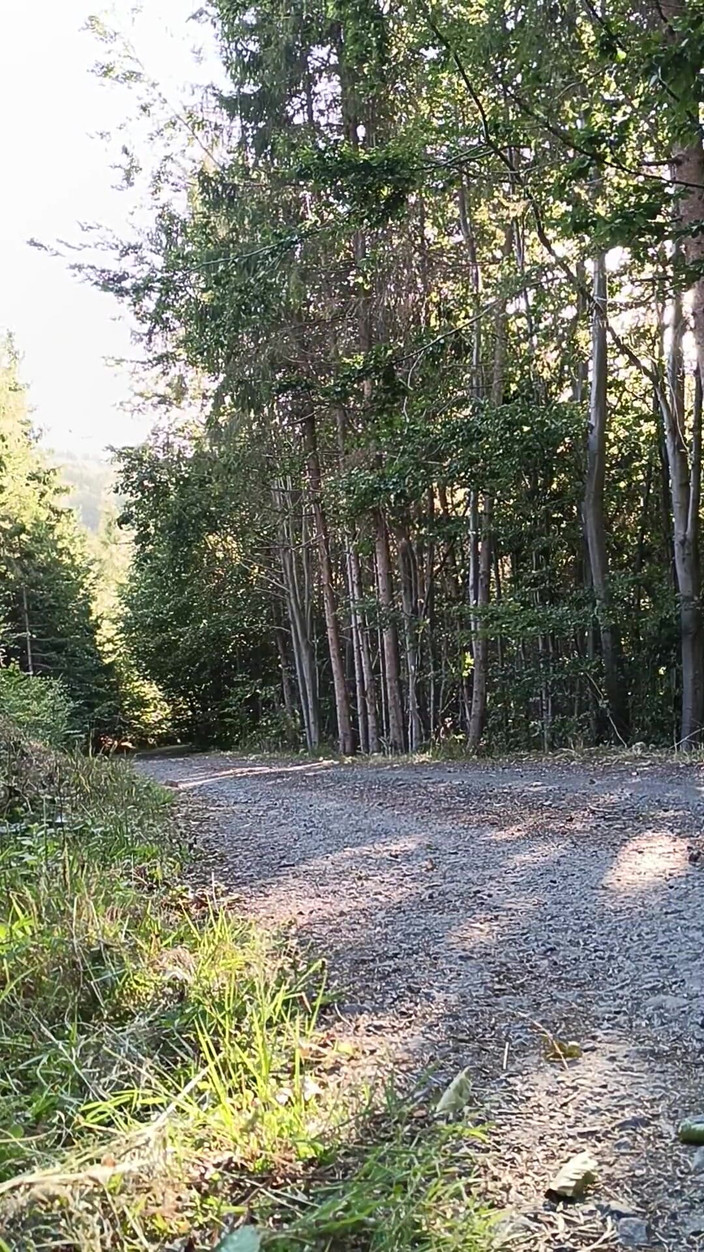 kickerscooter: Scooter Rider thủ dâm ngoài trời