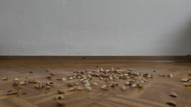 Your QueenXoXo: 130kg Woman Walking on Pistachio Shells - Crunching Sounds