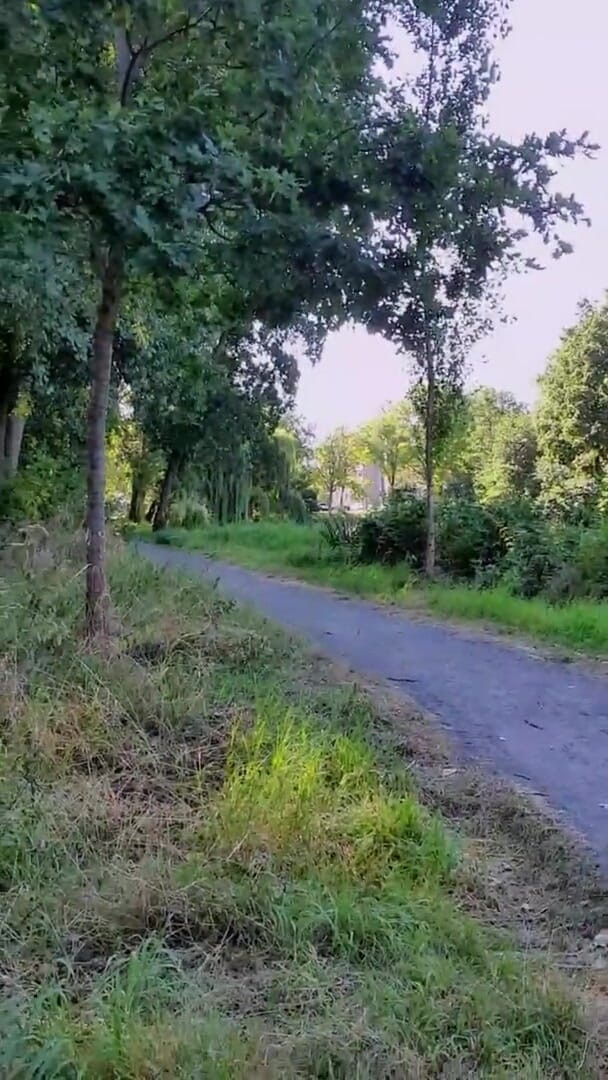 Slutboyben: La regina esibizionista