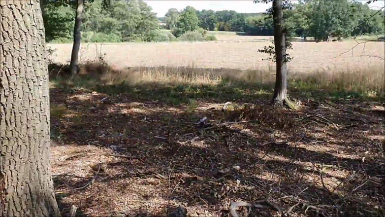 UserBitch1: Fucked at the Edge of the Forest
