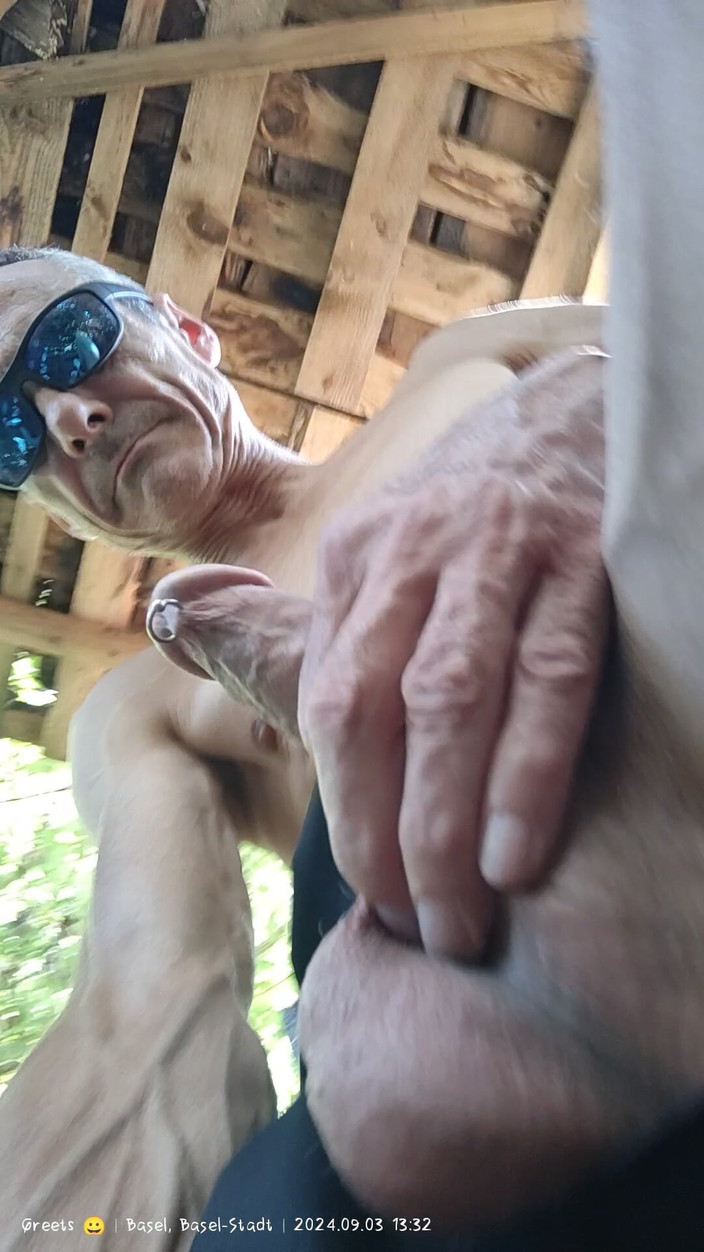 GayNeuligTabulos: Je m’amuse en plein air