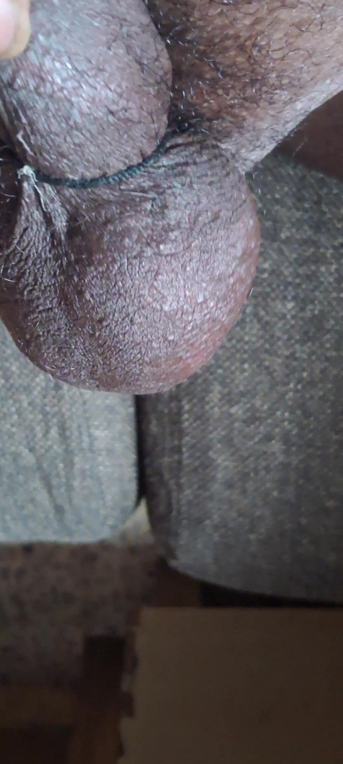 Maddymissile: Mi sono divertiti ed mi sono piaciuto