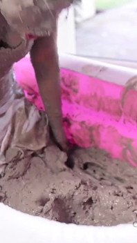 Adriana Chechik Sexual Mudbath