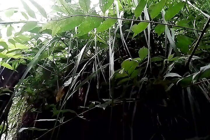 Gangbang straight: ランディ・リーク