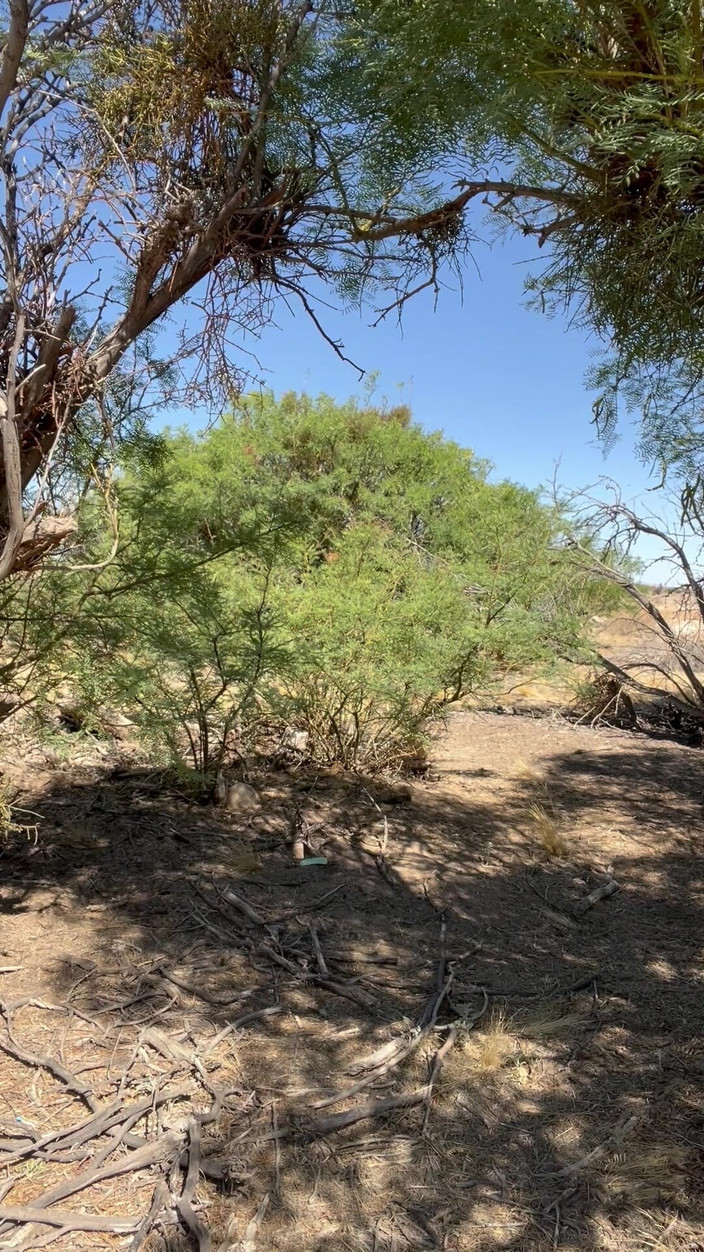 TSJade95: Tsjade muncrat lagi di luar ruangan