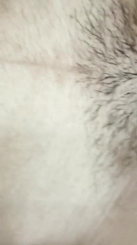 Indian Desi Stepsister Hardcore Sex with Desi Stepbrother and Pussy Licking Fuck Big Cock Video