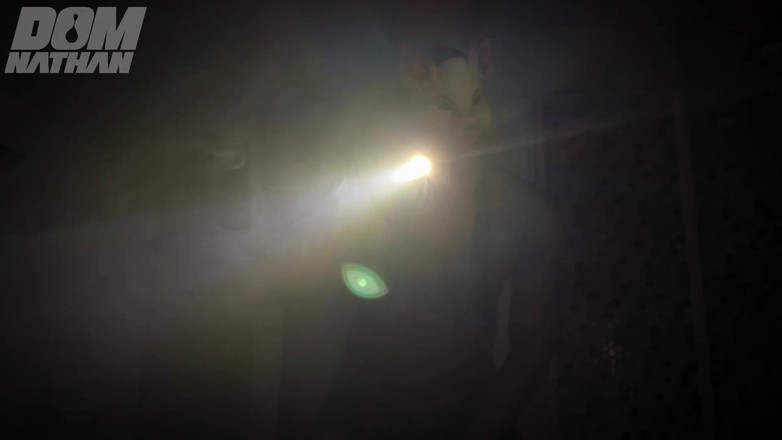 Smoker Master: 培训——猪PPR倒计时及指导