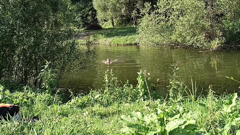 kickerscooter: Nahá pláž