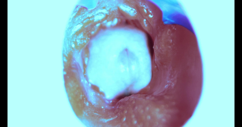 SEXY_GUYBEST: मैं अंदर से कैसे चोदता हूं! कैमरा अंदर!