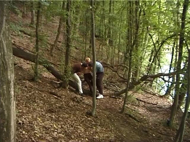 Lucky Cooch: Busty blonde babe gets spitroasted outdoors