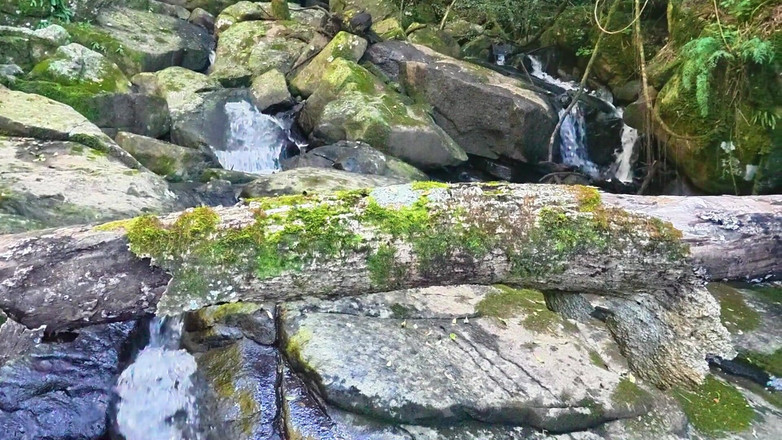 Black Swan: MILF Si Fa Mangiare La Figa E Scopare Al Fiume