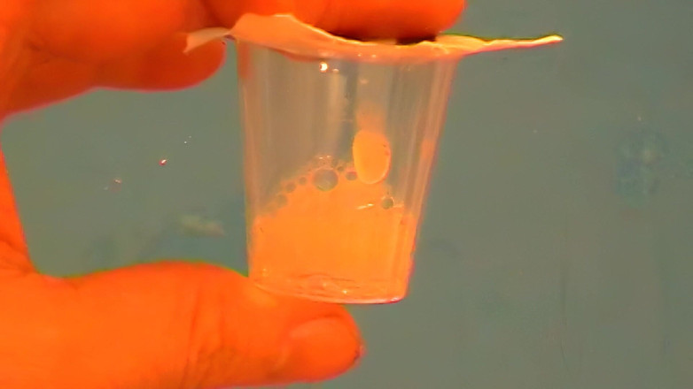 Mark Hannes: Masturbare cu futai la masa Fleshlight