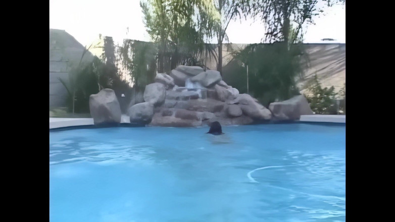 The Transexuals Megastore: Une trans en piscine