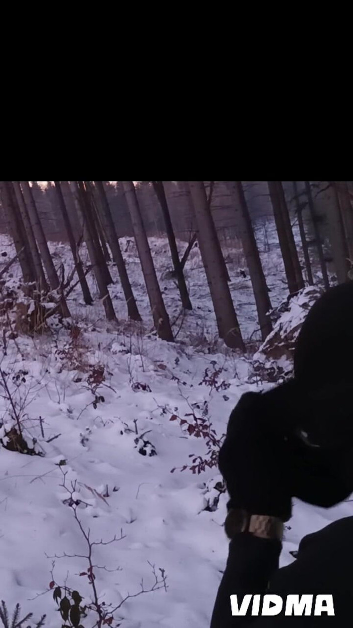 kickerscooter: Alam bogel di Musim Sejuk