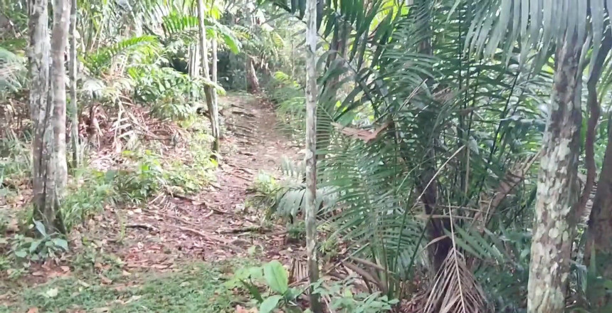 Leyne Rodriguez: Трах на відкритому повітрі, частина 2