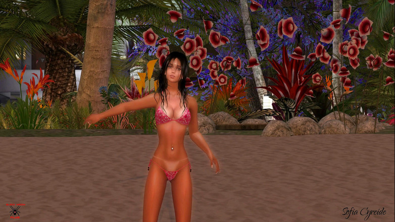 Black Widow Films: 海滩脱衣舞完整