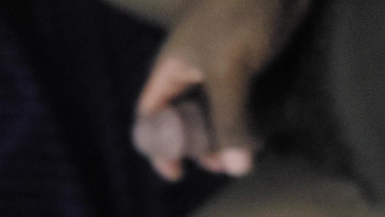 Martin55778: 첫 번째 마무리