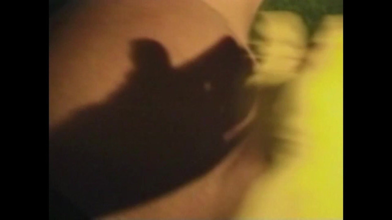 Vintage megastore: Excitatorul de porci