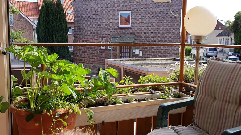UserBitch1: BJ on the Balcony