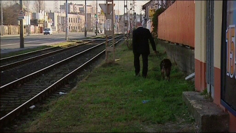 MMV BEST MOVIES AND CLIPS: Loira gata cavalga pau preto grande em orgia interracial selvagem