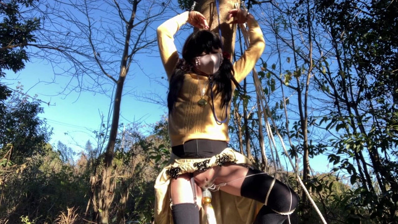 megu2002: Befehl vom Trainer Nr. 45: Bestrafe den Rotor durch Aufhängen eines...