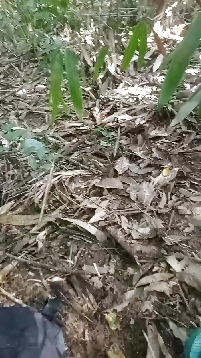 AdmHell: Masturbarsi nei boschi fino a quando non schizza