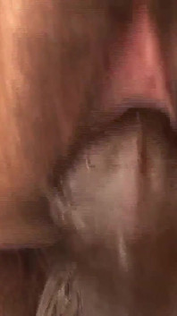 Hot Fresh Hairy Pussies - Part 1