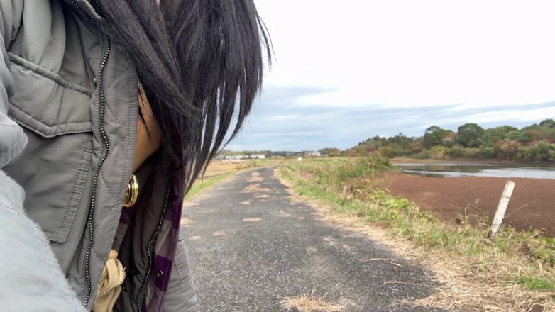 megu2002: 자가 훈련 No. 33 고속도로를 따라 걷는 새는 산책