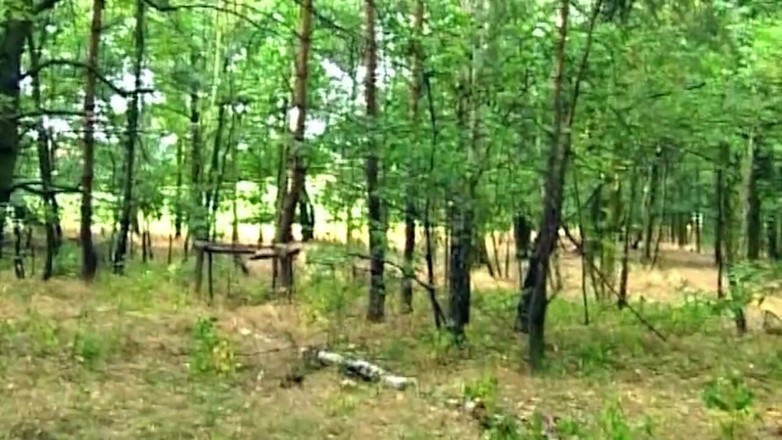 NAUGHTYPOLSKA: Mature Brunette Fingers Dripping Pussy in Forest Frenzy