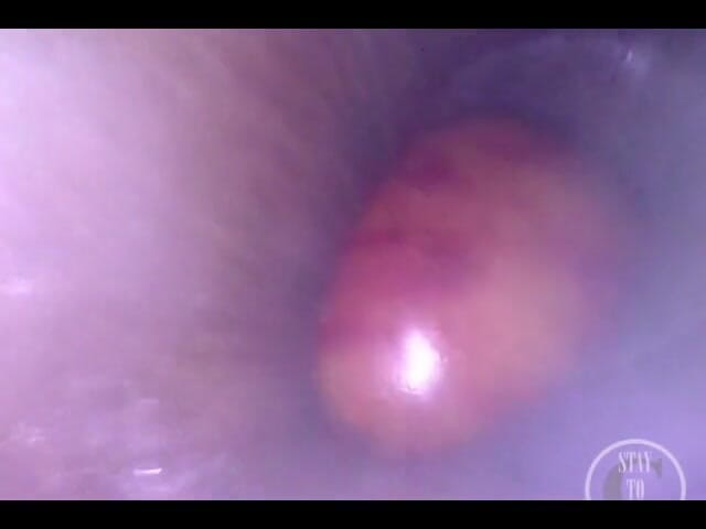 Lina Free: 苹果进入她的屁股的第一人称视角