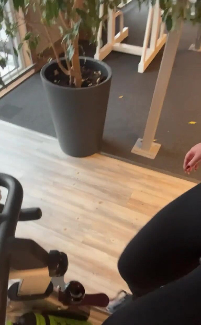 LadyAyse5: Trainingszeit