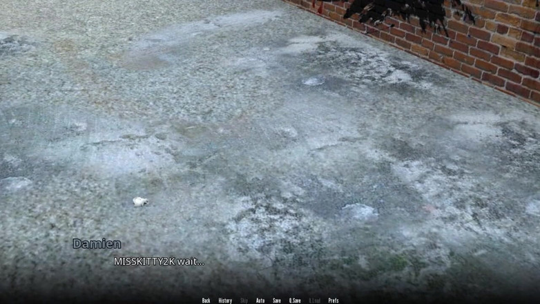 Miss Kitty 2K: WVM - partie 50 - concours de culs