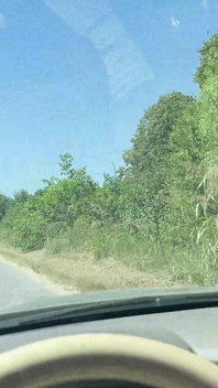 Kencing melalui jendela dan mulut kencing di jalan