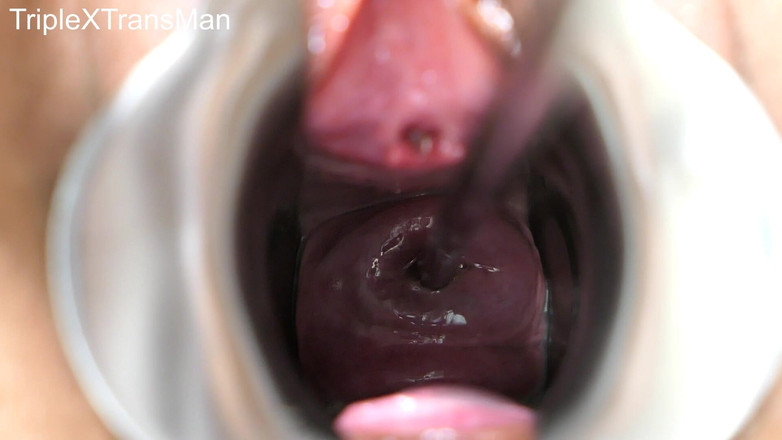 TripleXTransMan: 穿透我的子宫颈！