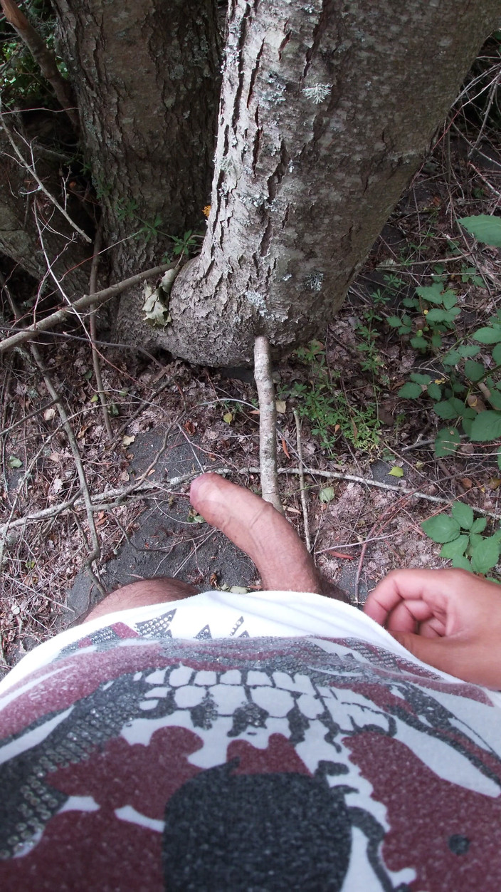 Hardnoisex: जंगल में पीओवी: अंडरवियर में अकेला, अनियंत्रित रूप से गर्म हो रहा है