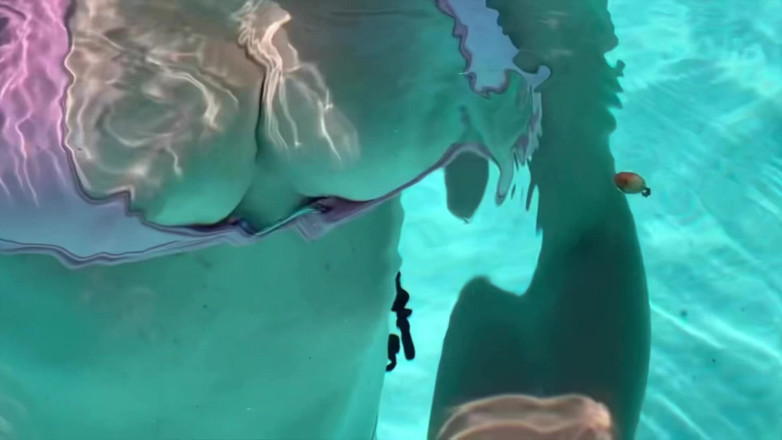 Artemisia Love: Artemisia Love Sexy Bikini Fetish Underwater Wet Top Big Boobs...