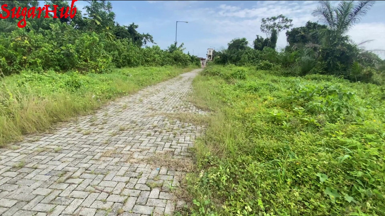 Sugarhug: मेरी सवारी खत्म करने के बाद मैं उबर ड्राइवर को चोदता हूं