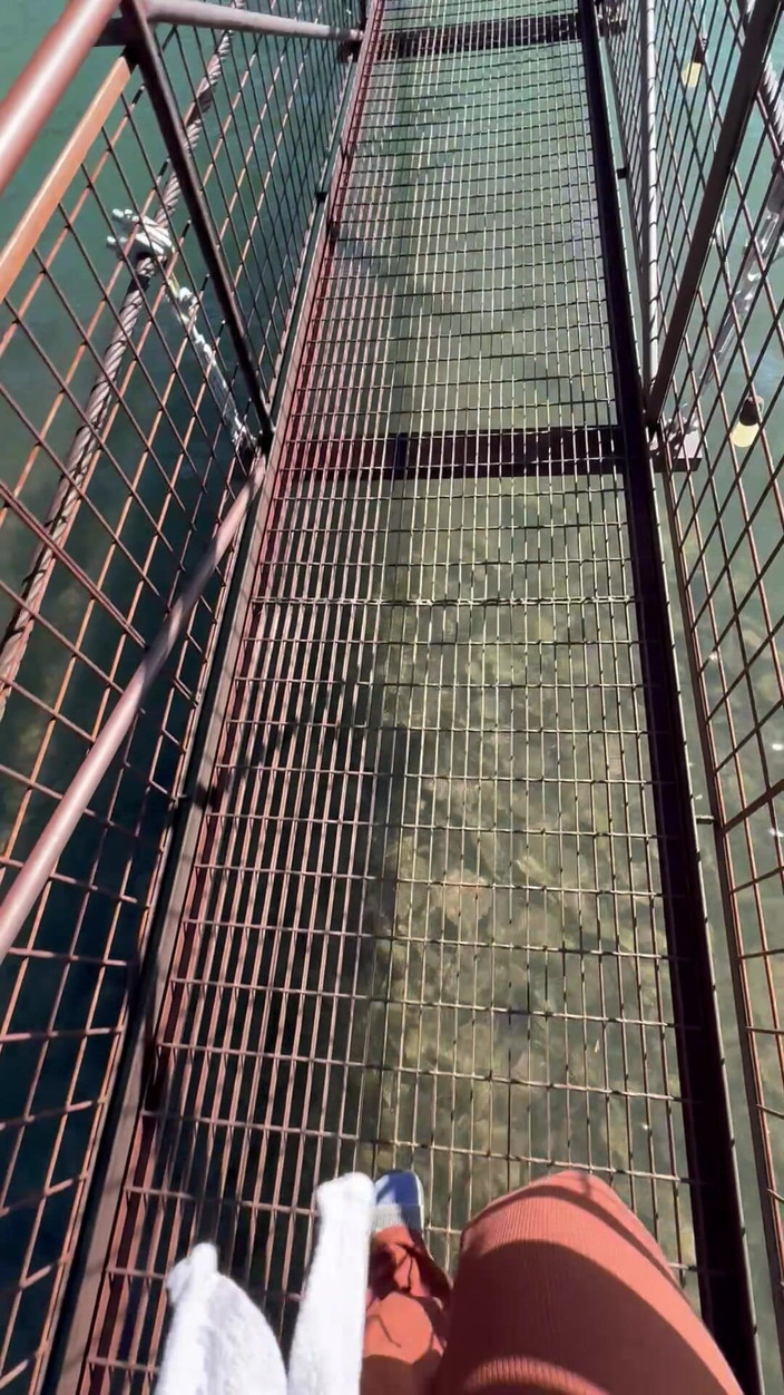 Dahlia Wolf: Foot fetiš venkovní přechod mostu