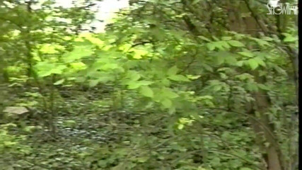 Showtime Official: 親密さなし - フルムービー - HDで復元されたイタリアのビデオ