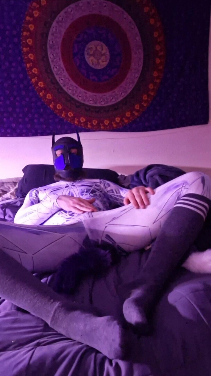 Robert48569: 펫 플레이 양말 플러그 테일