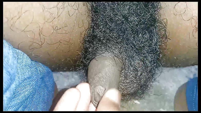 Lovely rose adit: 神经 231