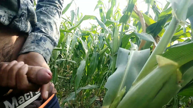 Desimast7: Stříkání na list z lístečků, Super Cumming