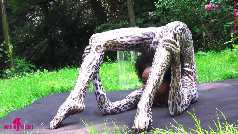 Gymnastic: Surprise in the Glass Box