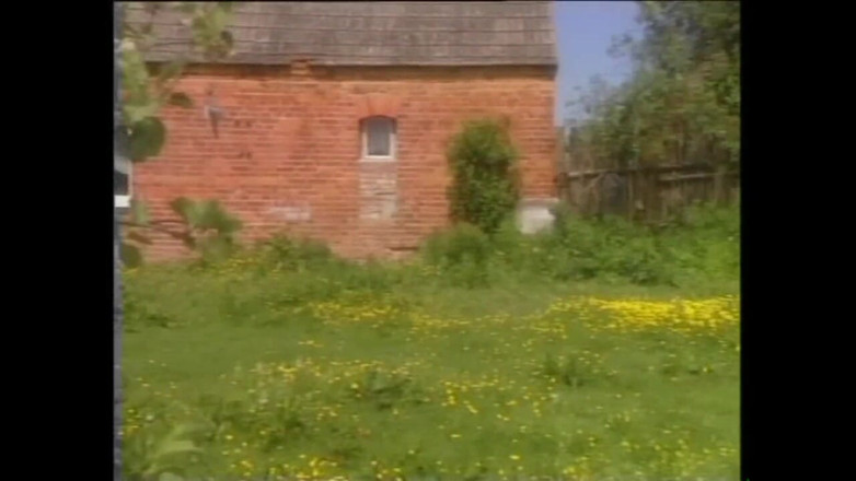 Cinema X: A Series of 90's Fucks