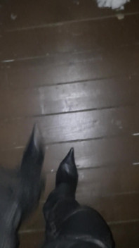 Pointy Boots in Snow