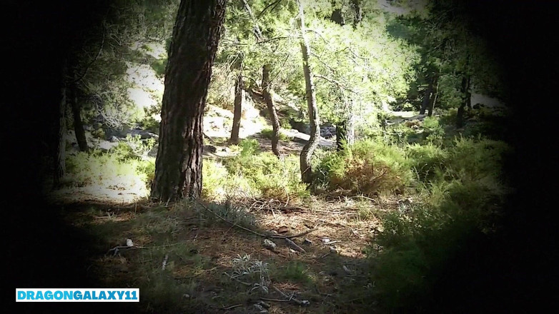 DragonGalaxy11: Горячий секс в горах с большой брюнеткой