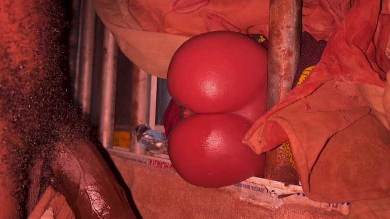 Bangcum8: Dicker arsch vibriert ganzen schwanz, um ehemann zu kommen