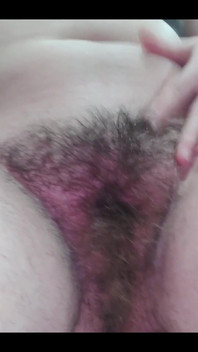 My Bush Is Becoming More and More Abundant.